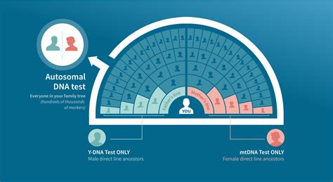ancestry dna indonesia|DNA Ancestry Test and Genealogy Testing.